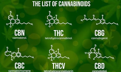 The Case For Improving Absorption For Cannabinoids Using Ethosomes