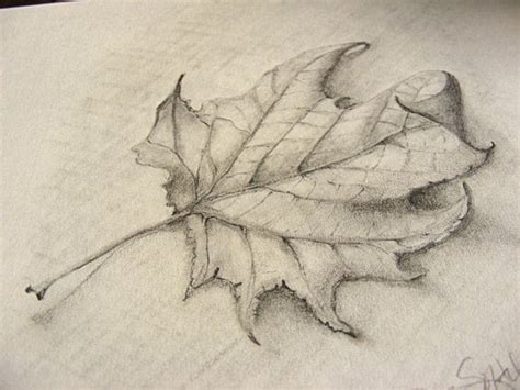 Fallen Leaf Pencil Sketch With Burlap Clip Frame