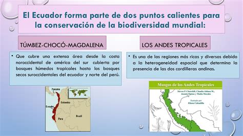 Los Ecosistemas Y Biodiversidad Del Ecuador By Aida Gualan Issuu