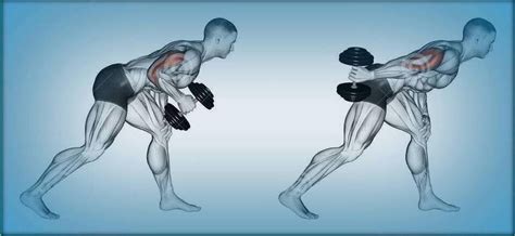 rutina de bíceps y tríceps ⋆ adictos al gym