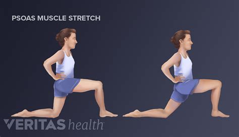 The Essential Role Of The Psoas Muscle Spine Health