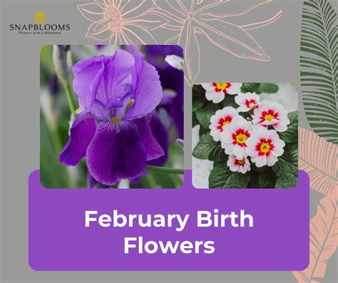 February Birth Flower