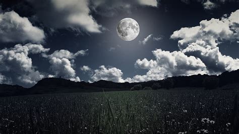 Luna Llena Luz De La Luna Campo Cielo Nocturno Noche Luna Nubes