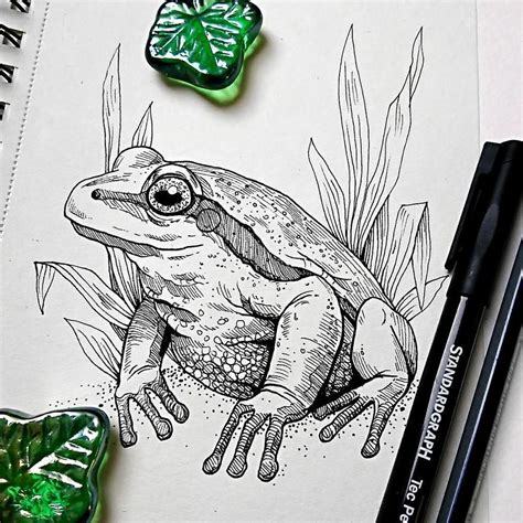 Conditions in a habitat can. I Create Intricate Drawings Of Animals Embedded With Their ...