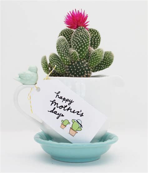 We did not find results for: Mother's Day Gift: Cactus in a Mug and Free Printable