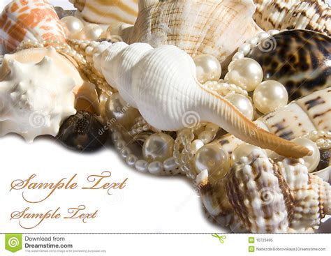 Seashell With Pearls Stock Image Image Of Animals