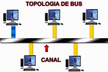 Topologia Bus Redes Tipo Lan Topologias Anillo