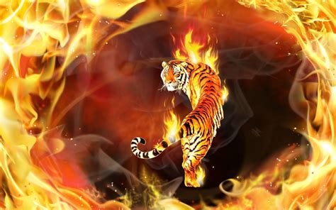 Flaming Tiger Wallpapers Top Free Flaming Tiger Backgrounds