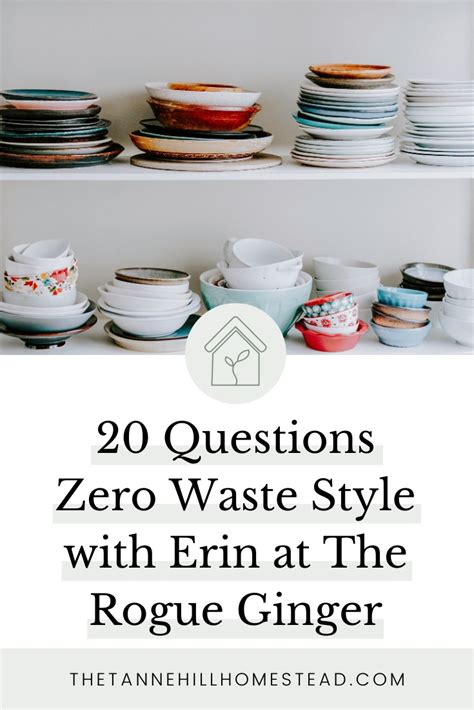 20 Questions Zero Waste Style Erin At The Rogue Ginger Laptrinhx News