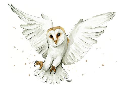 Barn Owl Flying Watercolor Painting By Olga Shvartsur Pixels