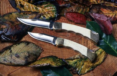 Handmade Knives In Autumn Leaves And A Wooden Log Stock Photo Image
