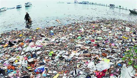 Rantai makanan jaringan makanan predasi dan simbiosis ayasesora98. Program Kantong Plastik Berbayar di Ritel Moderen ...