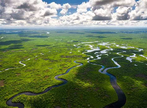 Everglades National Park The Complete Guide