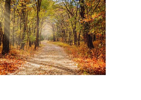 You will find a wonderful combination of highlands, grassy meadows, lowlands and creek bottoms with the hardwood black jack forest in between. Osage Hills State Park, an Oklahoma State Park located ...
