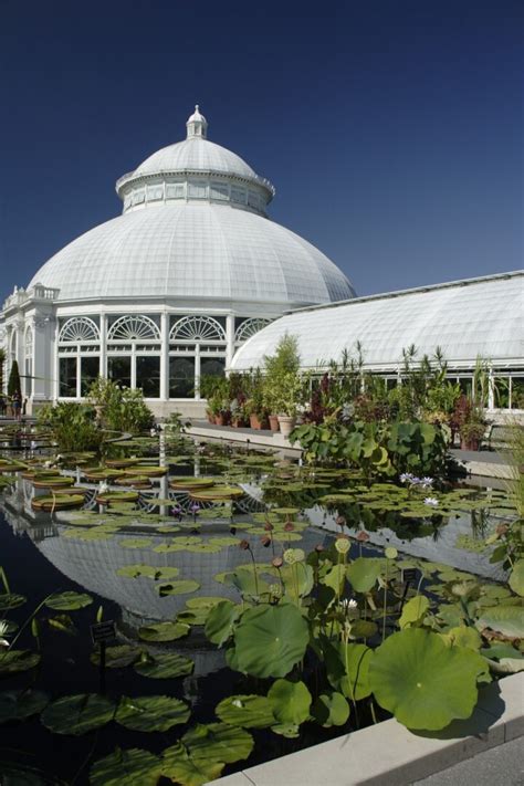 The 10 Best Botanical Gardens In The United States