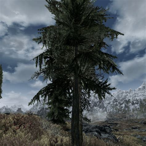Skyrimvr Dyndolod Tree Lod No Longer Disappears When Close Dyndolod
