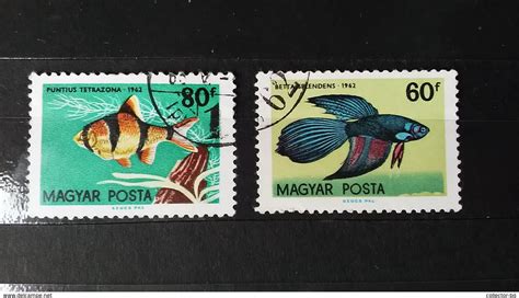Rare Hungary Magyar 1962 Fish 6080f Forint Stamp Timbre For Sale On