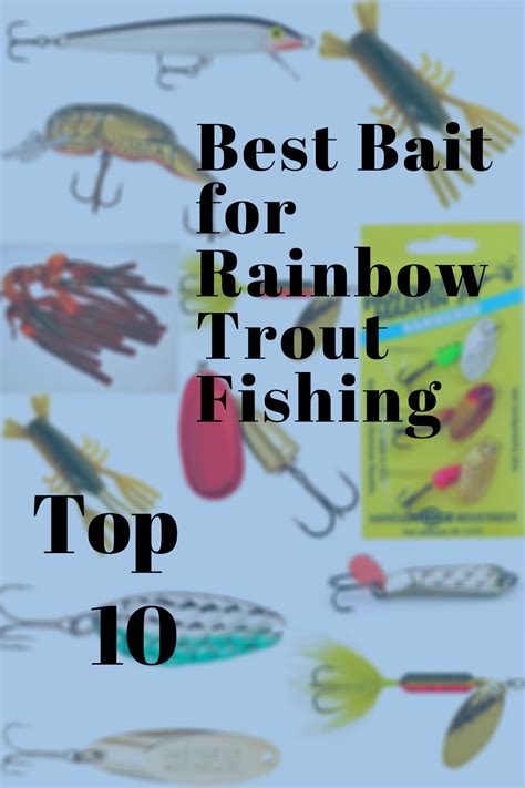 Best Bait For Rainbow Trout In Ponds Andrea Franks