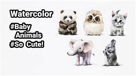 Watercolor Baby Animals At Getdrawings Free Download