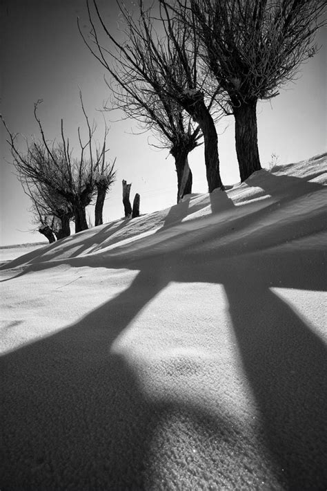 Pin By Rebecca Beery On Photography Light And Shadow Medium Art Shadow