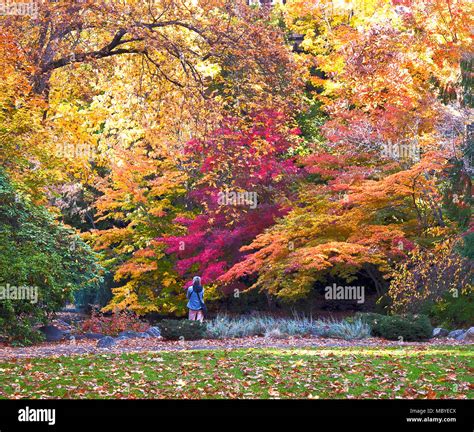 Urban Fall Hi Res Stock Photography And Images Alamy