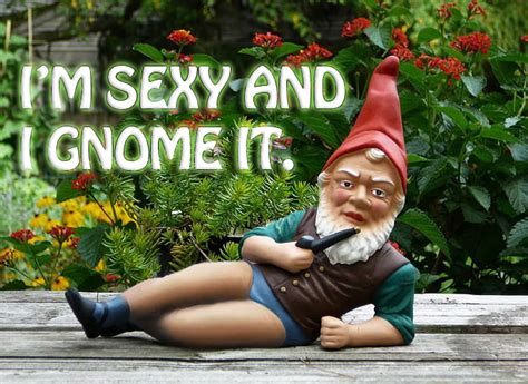 I M Sexy And I Gnome It Picture Ebaum S World