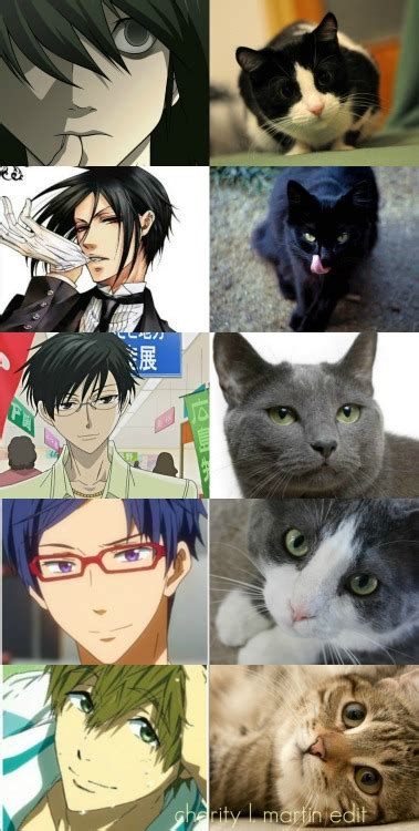 Charity L Martin My Anime Crushes And Their Cat Counterparts This