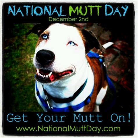 Happy National Mutt Day National Mutt Day Animal Advocacy Mixed