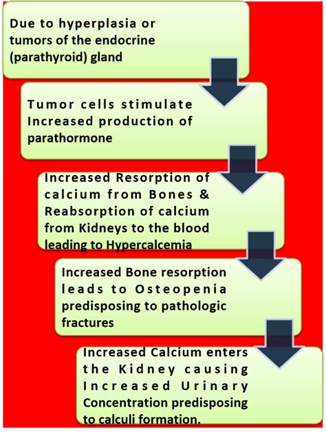 Pathophysiology Of Hyperparathyroidism Archives Learn Nursing Easy