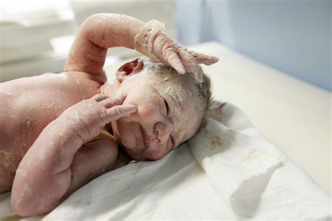 New Spirit Arrivals Birth Postpartum Services Vernix Covered Newborn After Delivery