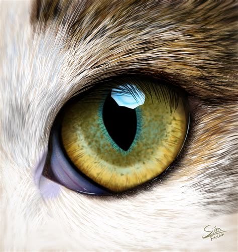 Cat Eye Sián Digital Painting School