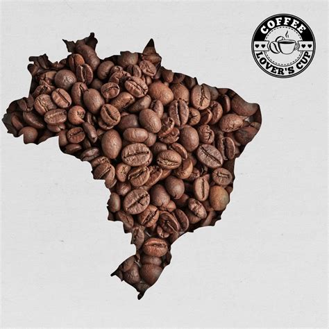 Brazilian Coffee Bean Guide Coffee Lovers Cup