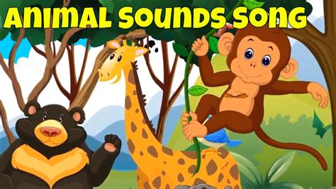Animal Sounds Song At The Zoo Youtube