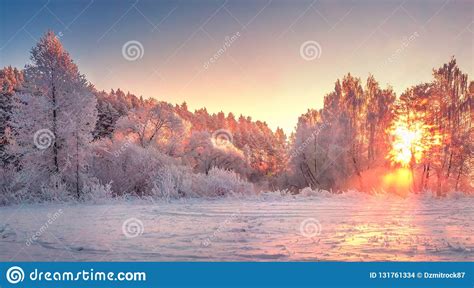 Winter Morning Landscape Sunrise Stock Photo Image Of Beautiful