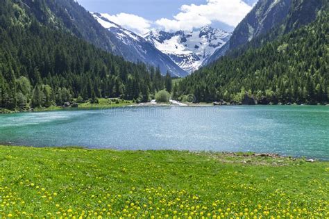 Amazing Alpine Spring Summer Landscape With Green Meadows Flowers And
