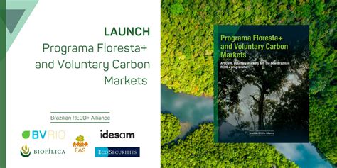 Launch Programa Floresta And Voluntary Carbon Markets