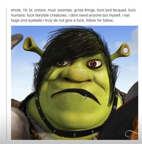 Punkgoth Shrek Shrek Memes Shrek Fairytale Creatures