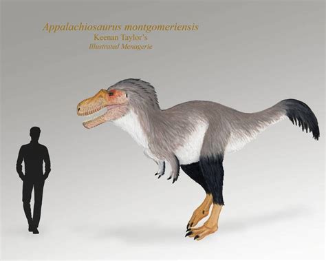 Appalachiosaurus Montgomeriensis By