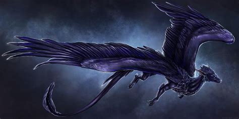 Beautiful Fantasy Feathered Dragon Art By Isvoc Draghi