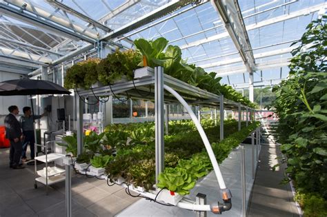 Furthermore, with this type of indoor farming, you grow substantially more food with less water, land and labor. Februari 2018 | Aquaponics Design Garden