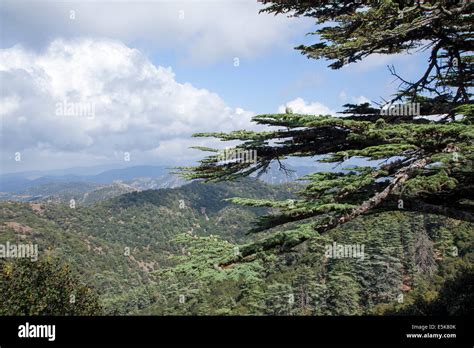 Cyprus Forest Republic Troodos Hi Res Stock Photography And Images Alamy