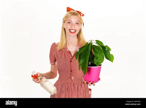 Woman With Spray Bottle Spraying Houseplants Watering Concept