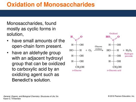 154 Chemical Properties Of Monosaccharides Ppt Download