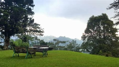 Collection by annie uzbek • last updated 7 weeks ago. Hilltop Bungalow: 2017 Reviews & Photos (Cameron Highlands ...