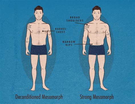 Mesomorph Body Type Somatotype — Bony To Beastly