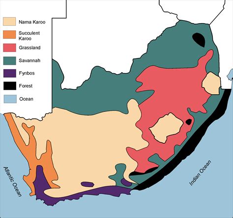 Vegetation Regions Of South Africa By Openstax Jobilize