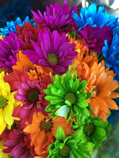 Colorful Daisies Beautiful Bouquet Of Flowers Beautiful Flowers