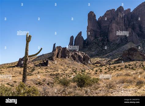 Saguaro Cactus And Superstition Mountain From Lost Dutchman State Park