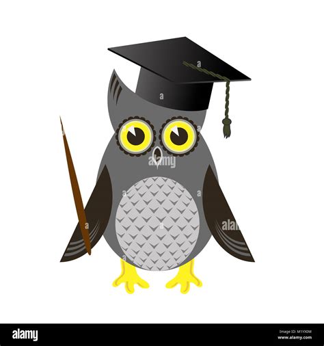 Owl Cartoon Graduation Cap Diploma Hi Res Stock Photography And Images
