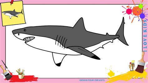 Comment Dessiner Un Requin Great White 2 Facilement Etape Par Etape